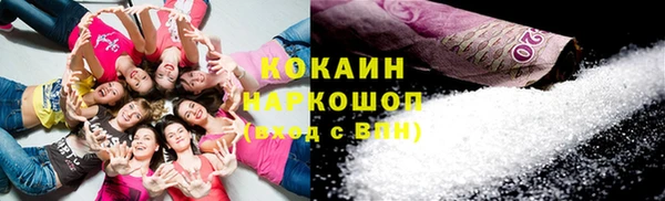 соль ск Белокуриха