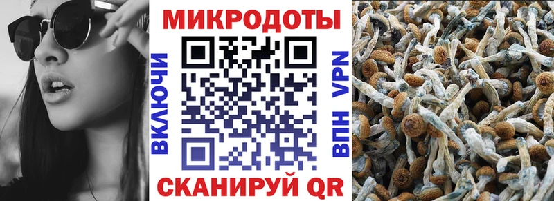 Купить где  Сухой Лог  Псилоцибиновые грибы Psilocybine cubensis 