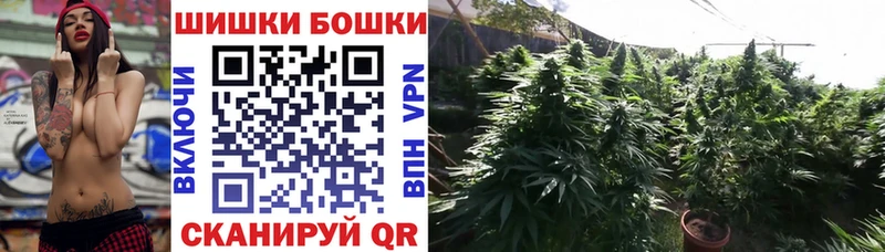 Купить  Сухой Лог  Марихуана план 